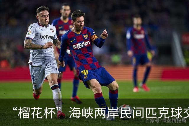 “榴花杯”海峡两岸民间匹克球交流赛在云南省玉溪开赛