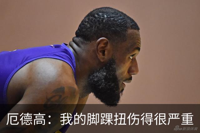 厄德高：我的脚踝扭伤得很严重